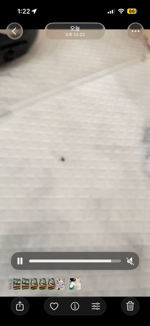 진드기 인가요? 무슨벌렌지 알려주세요 ㅠㅠㅠ의 1번 째 이미지