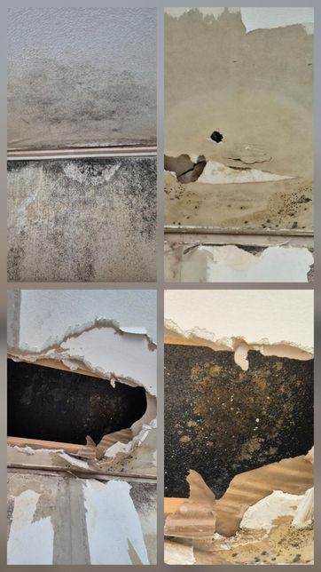 누수로 공사까지 완료했는데 결로라고 하는데 결로인가요??의 0번 째 이미지