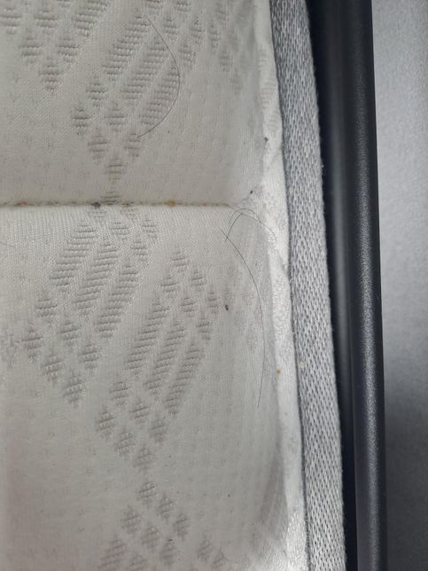 이불에 검은 점? 이게 뭐죠? 움직이지는 않고의 0번 째 이미지