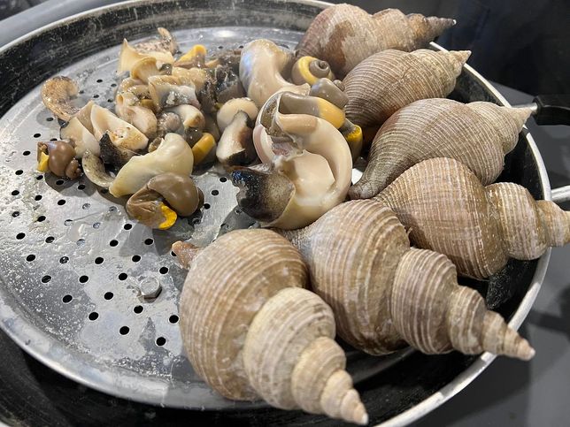 조개와 소라, 전복과 굴의 껍질을 강이나 호수에 버리면 오염이 안 되고 생물들에게 은신처가 될 수 있을까요?의 1번 째 이미지