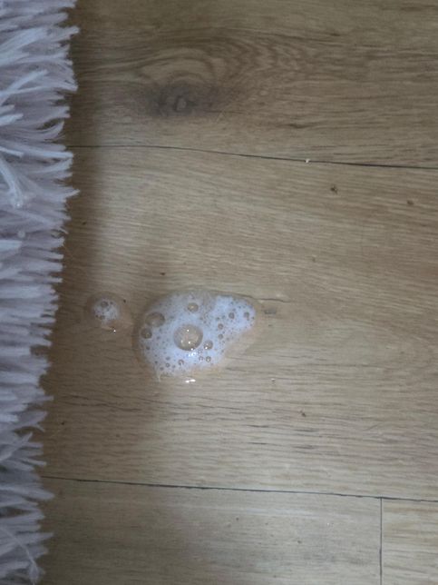 냥이 토에서 붉그스름한 토가 나와요 봐주세요ㅠ의 1번 째 이미지