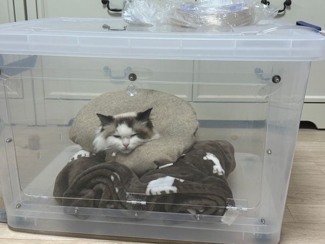 산소방 출력 농도와 내부 농도에 대해 알려주세요의 1번 째 이미지