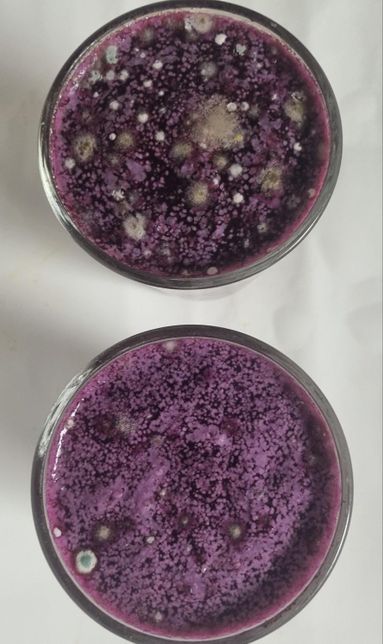 곰팡이의 용존산소량의 유무가 있는지의 1번 째 이미지