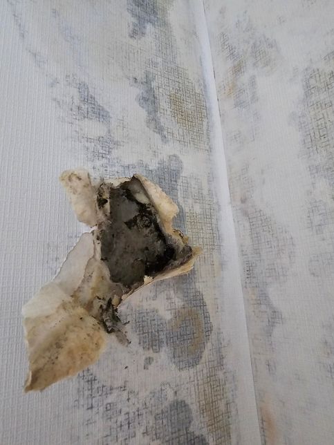 누수피해로 인한 벽지상태가 궁금합니다.의 0번 째 이미지