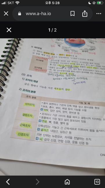 동물 보건사 자격증, 수의테크니션 정리책 찾아요..의 0번 째 이미지