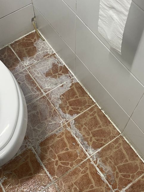 화장실에 있는 이 배수관???이 대체 뭘까요?의 1번 째 이미지