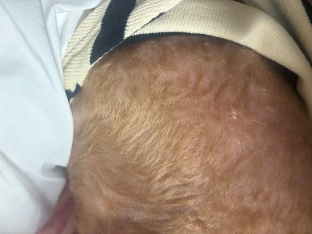 강아지가 요즘 이상해요. 어느 병원을 가야할까요?의 1번 째 이미지