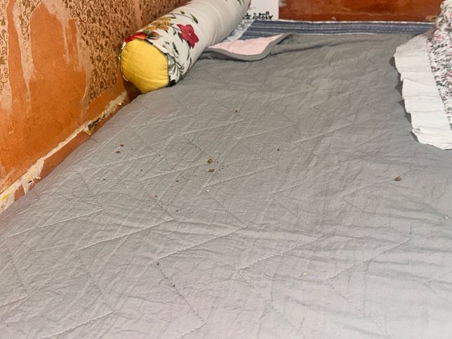 빈대 배설물인지 봐주세요 ㅠㅠ 너무 불쾌하네요의 0번 째 이미지