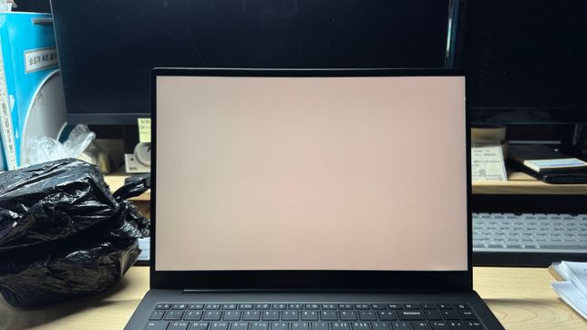 쿠팡에서 반품 상 등급으로 산 그램프로16 액정불량의 1번 째 이미지