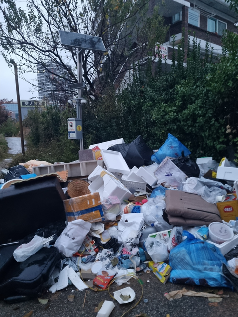 도심 한복판 중심거리에 가정집 쓰레기가 산더미 같이 쌓여 있는데, 한달도 넘는 것 같네요. 버리는 사람은 무슨 심뽀이고, 치우지도 않는 지방자치단는 방관하는 것일가요?의 0번 째 이미지