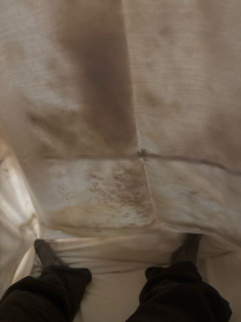 숙소 이불 이거 곰팡이 일까요 솜일까요의 0번 째 이미지