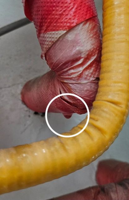 원룸 보일러 원룸 보일러 원룸보일러 원룸보일러의 0번 째 이미지