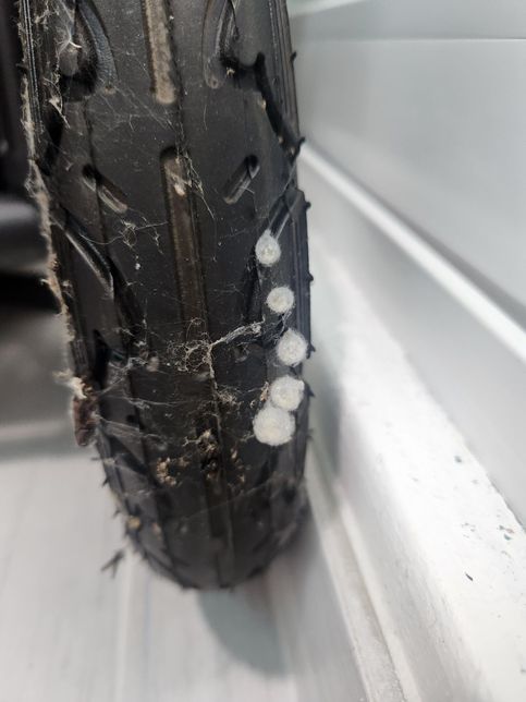 집안 유모차 바퀴에 이게 뭔지 알려주세오ㅠ의 0번 째 이미지