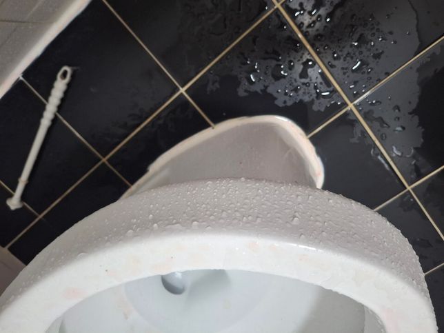 화장실에서 이렇게 변색이 되는 건 뭐 때문인가요의 0번 째 이미지