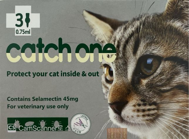 고양이 심장사상충 약 질문 (약국 - 캐치원)의 0번 째 이미지