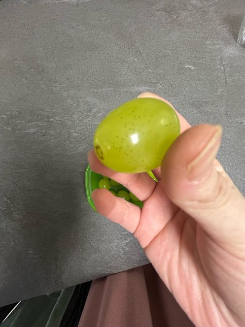 샤인머스켓 그을음점무늬병 먹어도 되나요!?의 0번 째 이미지