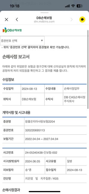 임플란트 보험 의료자문 손해 사정 보고서의 1번 째 이미지