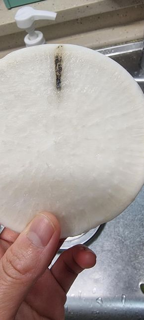 무 까만줄 이거 곰팡이 인가요? 잘라내고 먹어도 되나요?의 0번 째 이미지