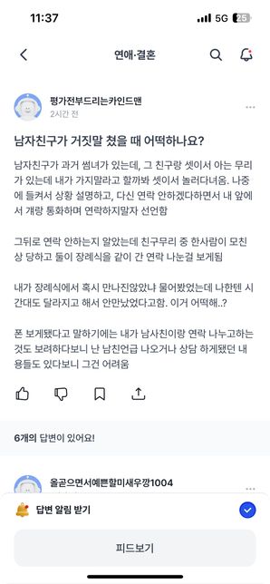 (후기포함) 남자친구가 거짓말 쳤다고 질문 올렸던 사람인데요의 0번 째 이미지
