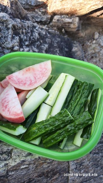 등산을 와서 사진과 같은 음식을 먹었는데산비탈로 과일 하나가 굴러 갔습니다.환경오염에 심하게 영향을 미칠까요?의 1번 째 이미지