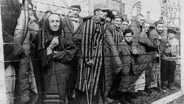 유대인들은 왜 히틀러 정권의 유혹을 이기지 못하고 당했나요?의 1번 째 이미지