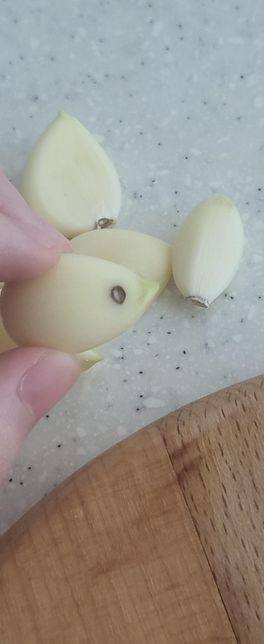 실온에 보관하던 마늘을 깠는데 갈색 반점이 있네요 먹어도 괜찮을까요?의 0번 째 이미지