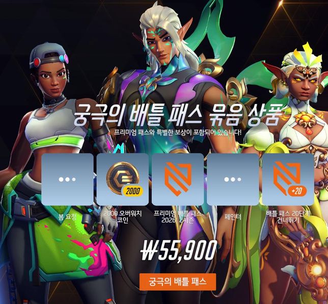 오버워치 현질할건데 뭐가 더 효율적인가요?의 0번 째 이미지