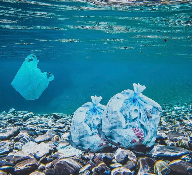 해변으로 밀려오는 쓰레기중에 궁금한 점이 있습니다.의 0번 째 이미지