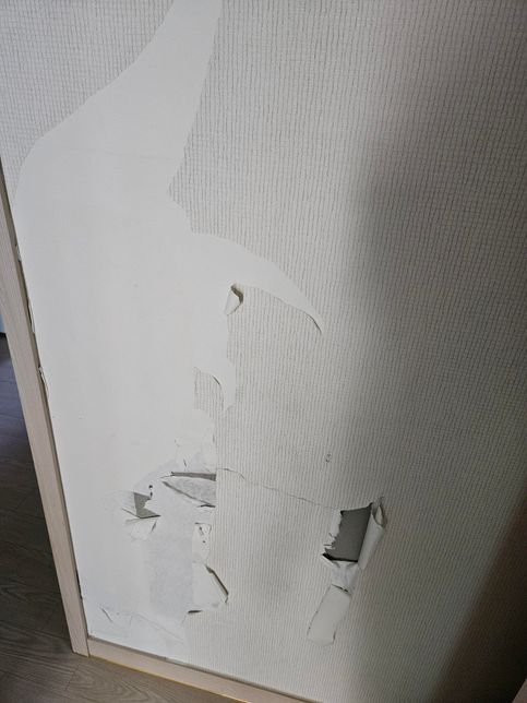 심하게 찢어진 벽지 데코를 어떻게 해야할까요?의 0번 째 이미지