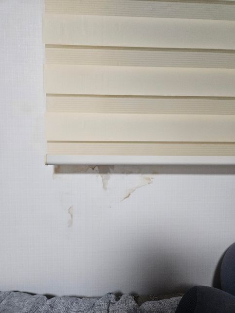 벽지에 얼룩이 뭔가 점점 커지는 것 같아요의 1번 째 이미지