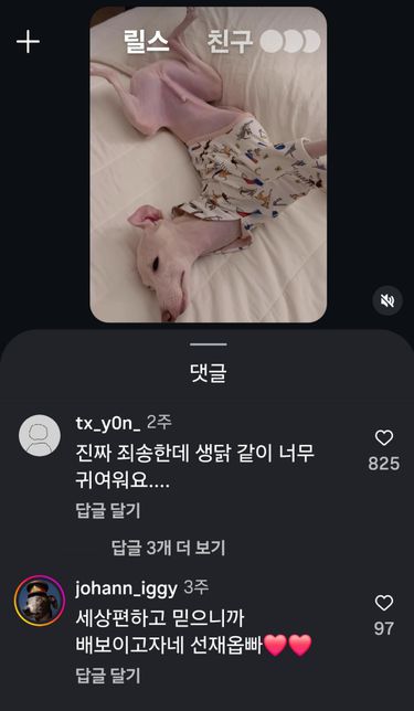 인스타 릴스 댓글 검은색 해결 방법 좀 알려주세요의 0번 째 이미지