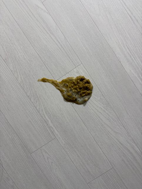 갑작스러운 급격한 양의 말티즈 노견 강아지 토의 2번 째 이미지