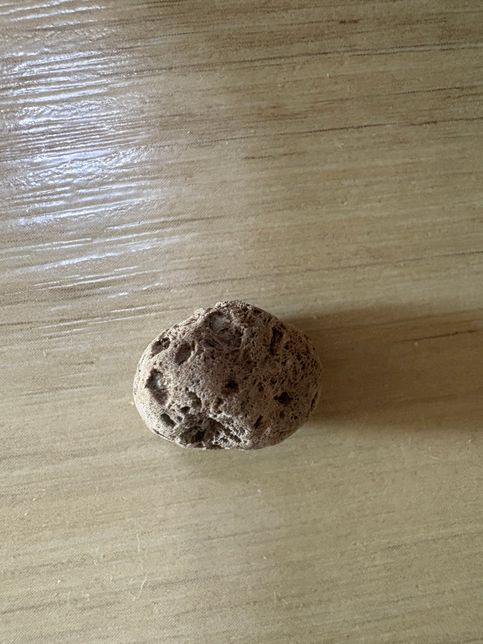 청바지 주머니 안에 나온 것이 무엇일까요?의 0번 째 이미지