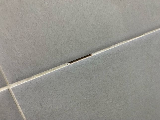 월세집 화장실 타일 줄눈이 떨어져나갔는데의 1번 째 이미지