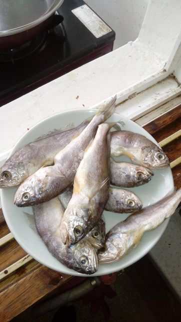 어린이들은 왜 채소와 콩, 버섯에 이어 생선도 싫어할까요?의 0번 째 이미지