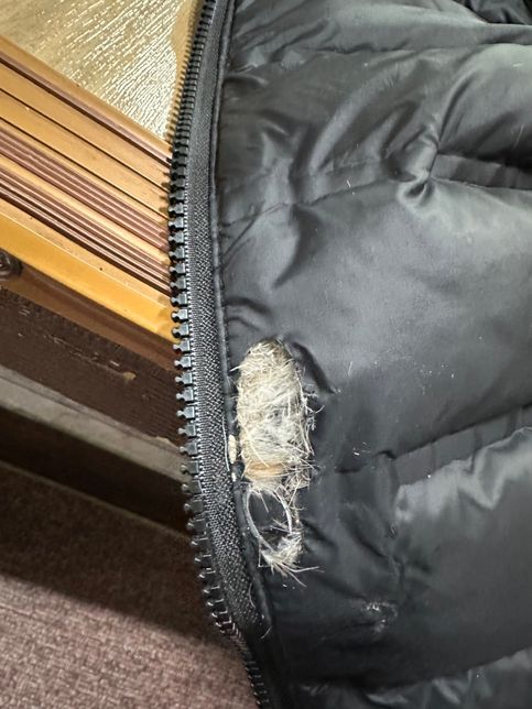 이거 잠바 터진 거 수선 가능한가요??의 0번 째 이미지