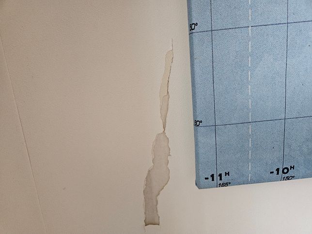 고양이가 벽지를 뜯었어요. 혹시 이런 경우에 해결 방법이 있을까요?의 1번 째 이미지