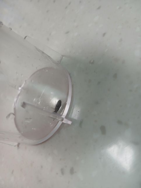 이 벌레는 무엇일까요? 밖에 한두마리 있길래 하나 잡아놨습니다..의 0번 째 이미지