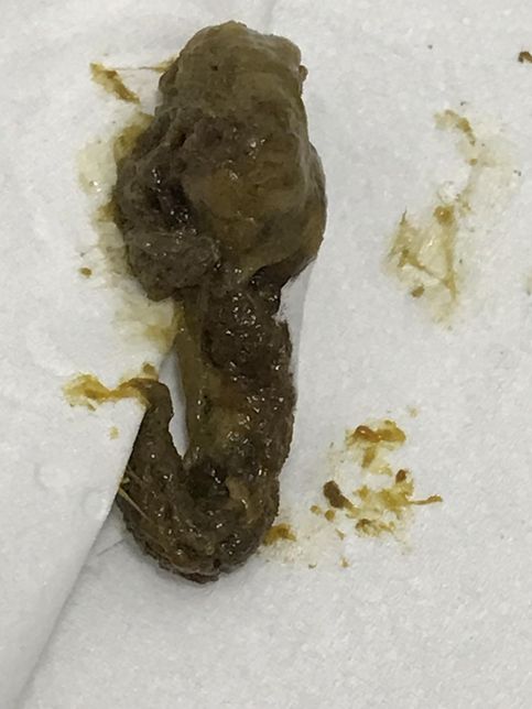 강아지 이상증상 이유라도 좀 알고싶습니다..의 2번 째 이미지