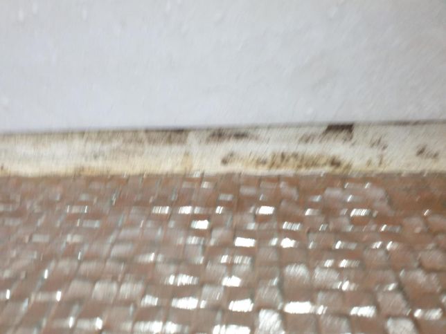 화장실 타일과 타일 사이 페인트 칠한 부분 곰팡이 질문드립니다.의 0번 째 이미지