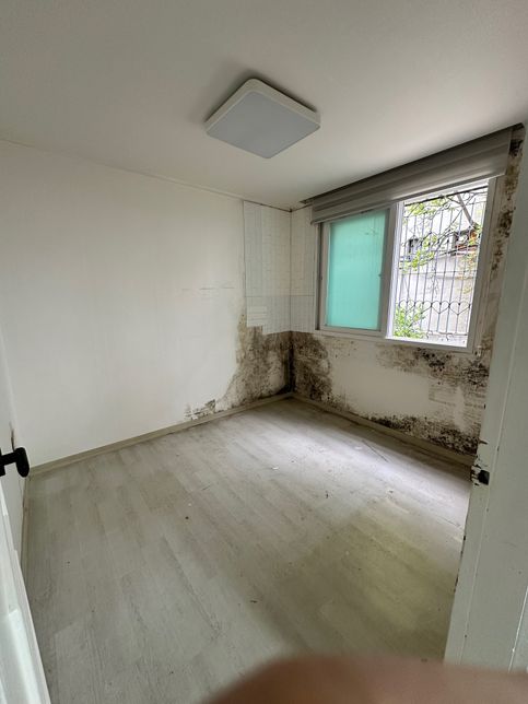 월세 들어가려하는데 도배장판을 안해주려고합니다.의 0번 째 이미지