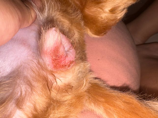 더 심해진건지 괜찮아지고 있는지 모루겠어여의 1번 째 이미지