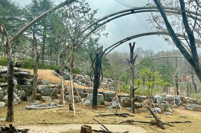 전북 전주<mark>동물</mark>원 천연기념물 보존관과 경북 영양 멸종위기종복원센터에서 맹금류들을 활공훈련 시킨다면 살아있는 <mark>동물</mark>로 사냥본능을 기르게 할 수도 있나요?의 1번 째 이미지