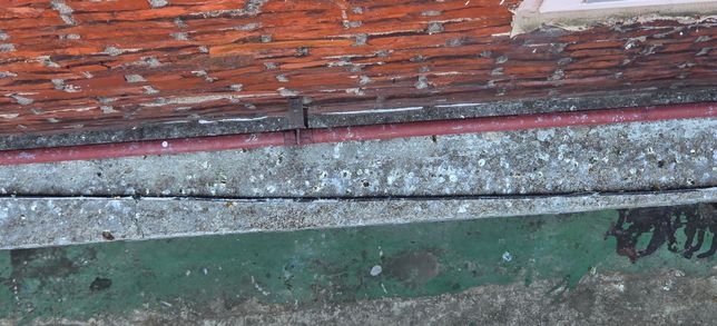 비둘기 사료 및 쌀투기로 인한 피해 상담문의의 1번 째 이미지