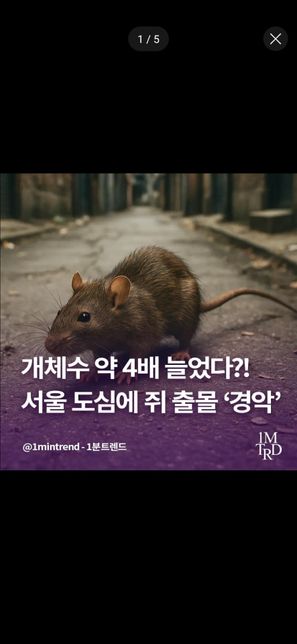 서울에 쥐가 4배 이상 증가했다는 뉴스를 봤는데요. 왜 갑자기 쥐가 이렇게 늘어난거죠?의 0번 째 이미지