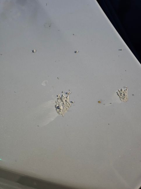 새똥인지 시멘트인지 구분이 안됩니다의 0번 째 이미지