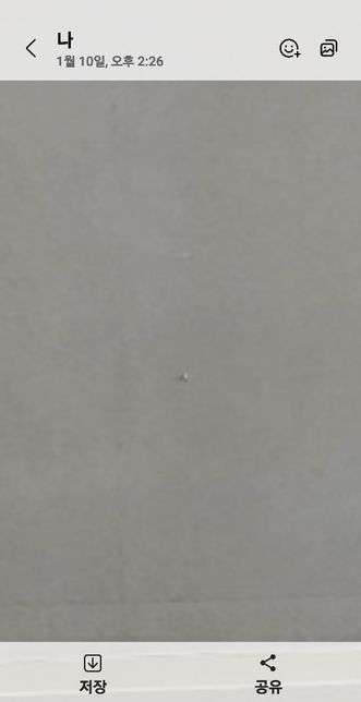 오피스텔 월세 계약 만료후 벽지찢어짐 원상복구의 0번 째 이미지