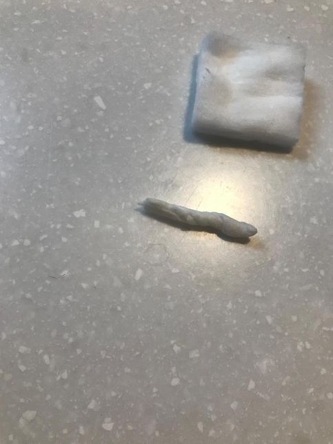 강아지 귀청소 솜으로 하다가 아이가 깽 거리며 비명 지르는 증상의 0번 째 이미지