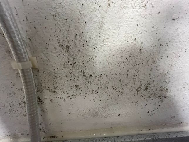 부엌 시멘트벽 곰팡이가 생기는데 방법이 있을까요??의 0번 째 이미지