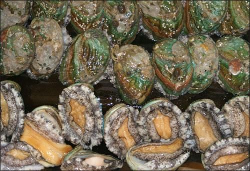 조개와 소라, 전복과 굴의 껍질을 강이나 호수에 버리면 오염이 안 되고 생물들에게 은신처가 될 수 있을까요?의 2번 째 이미지